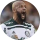 Tipster AGORAVAI