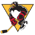 Wilkes-Barre/scranton Penguins