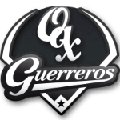 Guerriers d'Oaxaca